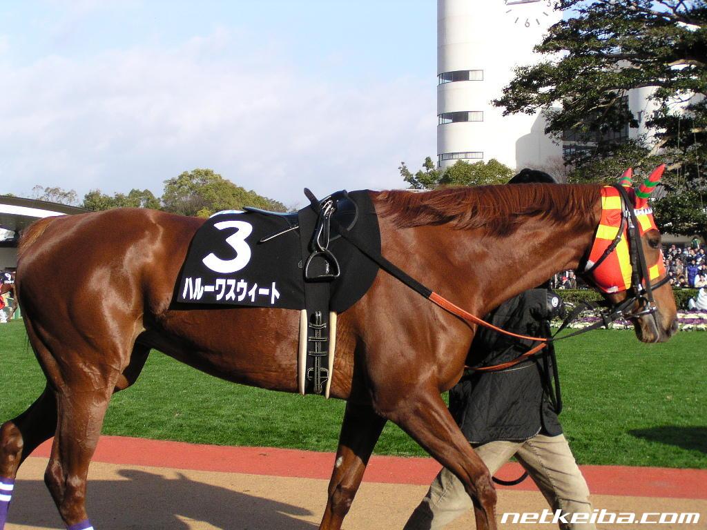 ヴィブロス福永祐一と宝塚記念 馬名の意味 血統は完璧な配合 ドバイターフの賞金はいくら ジョッキーの年収や嫁 結婚相手 等を調査するサイト 競馬ジョッキー倶楽部