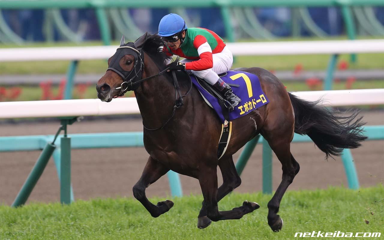 オルフェーヴル産駒 種牡馬 の特徴 評判は 18年デビューの期待馬はアルママ ジョッキーの年収や嫁 結婚相手 等を調査するサイト 競馬ジョッキー倶楽部